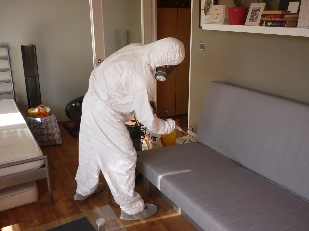 Profesionální DDD služby — zásah technikem