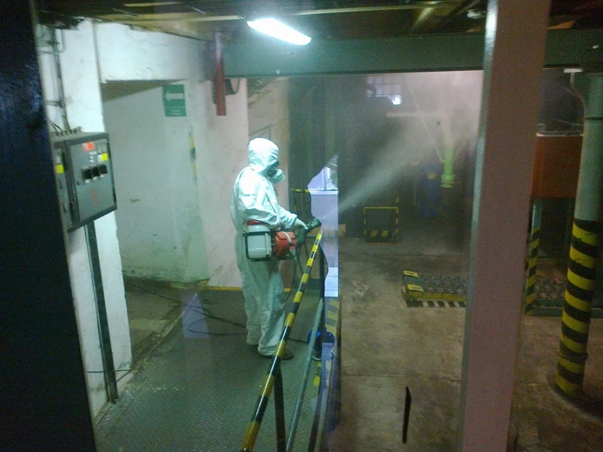 Profesionální DDD služby pro firmy